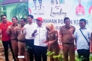 Dukung Program Bupati : PT Musim Mas Siap Serahkan Ribuan Bantuan Bibit Pohon Kelor. 
