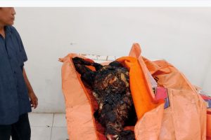 DPD PJS Sumut Minta APH Ungkap Tragedi Kebakaran Renggut Nyawa Wartawan dan Keluarga di Tanah Karo