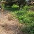 Warga Kelurahan Pangkalan Lesung, Keluhkan Tinggi nya, Angka Kriminal yang terjadi. 