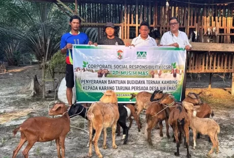 Dorong Ekonomi Pemuda Desa Air Emas, Melalui CSR PT. Musim Mas Bantu 10 ekor ternak kambing