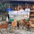 Dorong Ekonomi Pemuda Desa Air Emas, Melalui CSR PT. Musim Mas Bantu 10 ekor ternak kambing